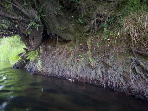 dernières nouvelles de la Chine sur Particules en suspension résultant de l'érosion des rivières: comprendre leur impact sur la qualité de l'air et la nécessité de purificateurs d'air