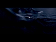 D6S ((z zbiornikiem)