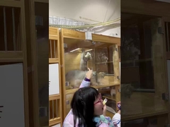 Ar mais limpo, animais de estimação mais felizes: o purificador da Berk produz