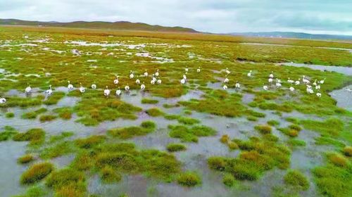 China últimas noticias sobre Emisiones de metano de humedales: comprender su impacto en la calidad del aire y los beneficios de los purificadores de aire