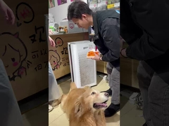 อากาศ ที่ ถูก ยอม รับ สําหรับ สัตว์เลี้ยง: เครื่อง ล้าง อากาศ ของ เบิร์ก ช่วย ให้ บ้าน ของ คุณ สดชื่น!